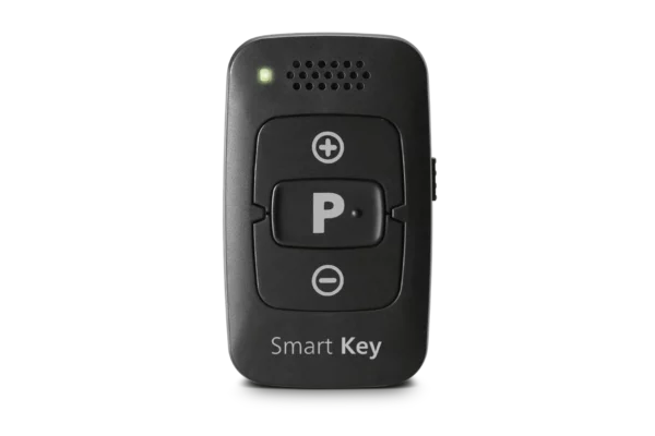 Rexton Smart Key Remote Control